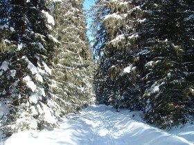 partii de schi in harghita